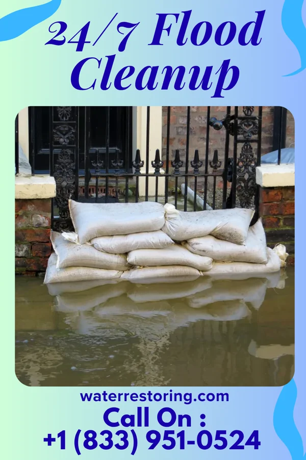 24/7 Flood Cleanup in Rives, TN