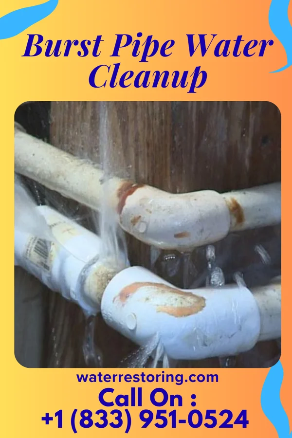 Burst Pipe Water Cleanup in Rives, TN