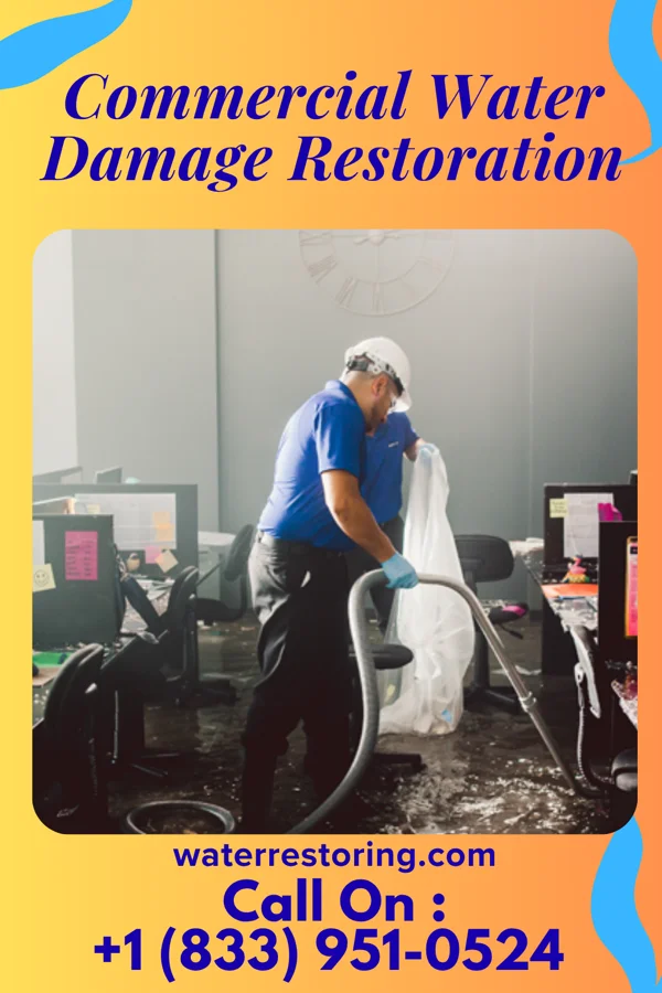 Commercial Water Damage Restoration in Rives, TN