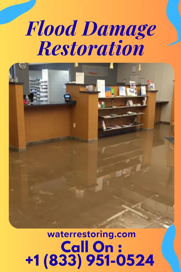 Flood Damage Restoration in Rives, TN