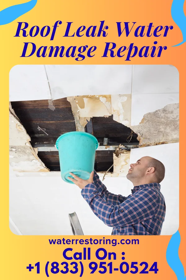 Roof Leak Water Damage Repair in Rives, TN