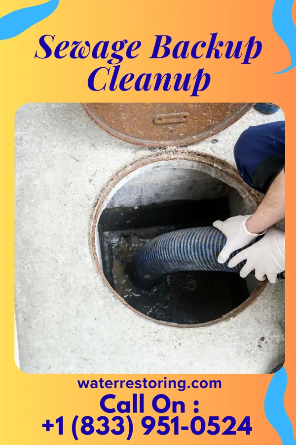Sewage Backup Cleanup in Rives, TN