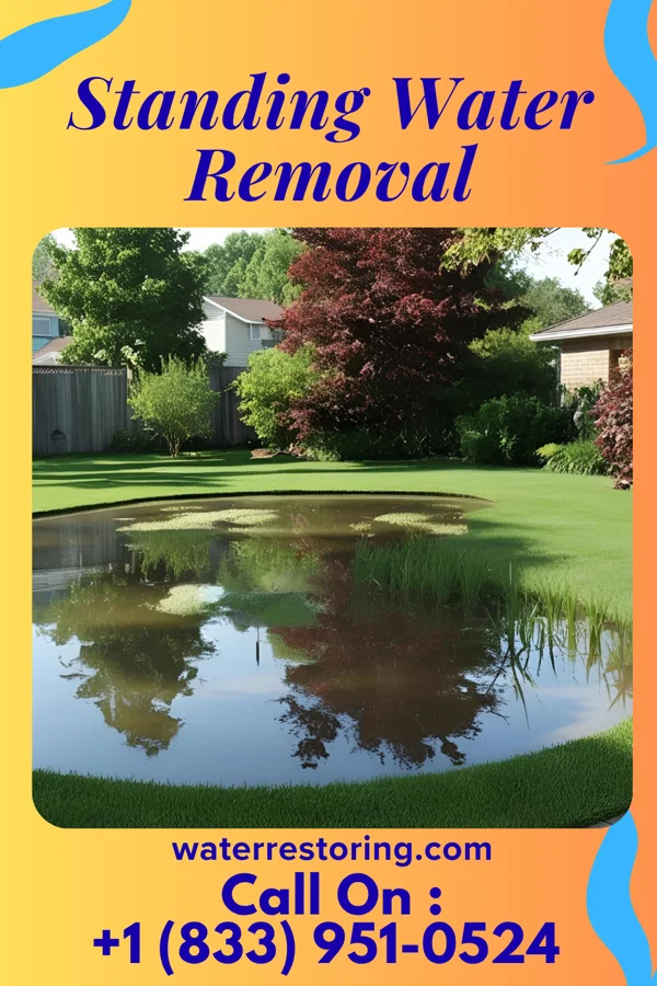 Standing Water Removal in Rives, TN